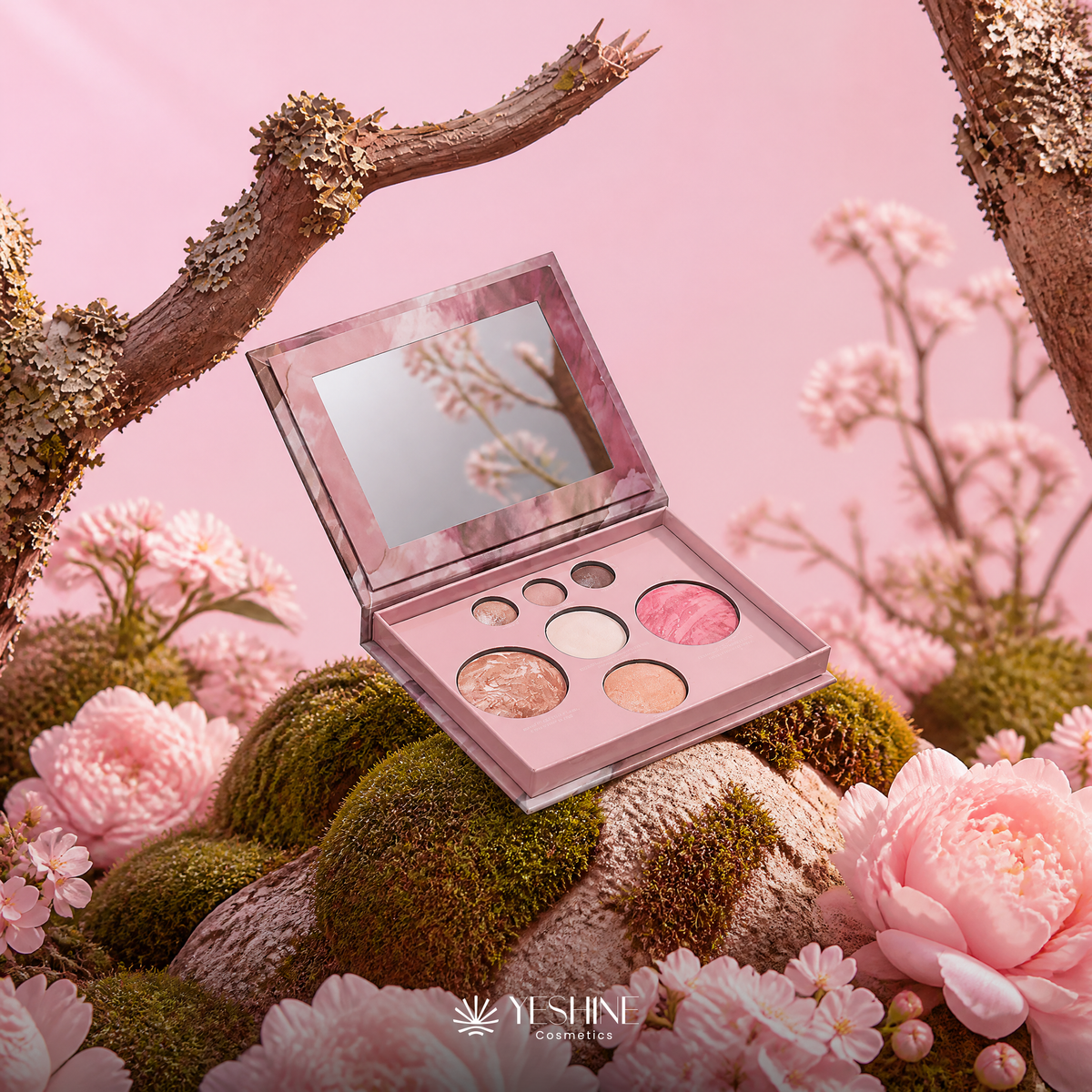 Multi-Function Makeup Tray