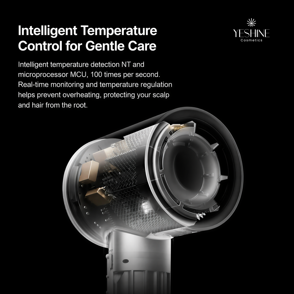 Yeshine High-Speed Hair Dryer 001 (Black)